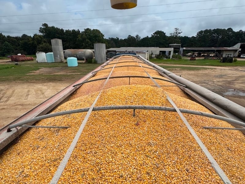 JRF Express bulk agriculture hauling — corn load
